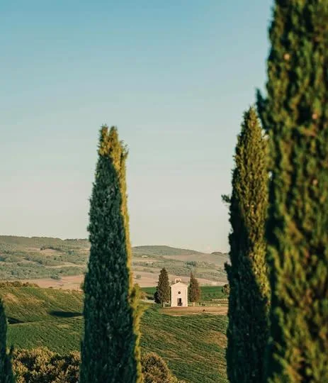 Cypress trees framing a small chapel in the rolling Tuscan countryside.